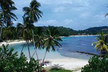 Foreigner killed, wife injured in brawl at resort