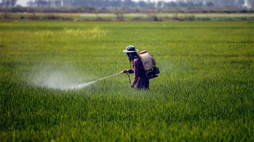 Glyphosate under fire from San Francisco to Sri Lanka