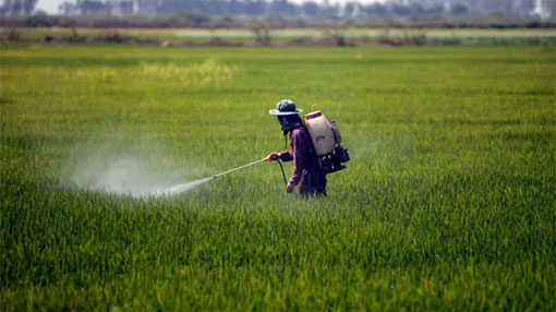 Glyphosate under fire from San Francisco to Sri Lanka
