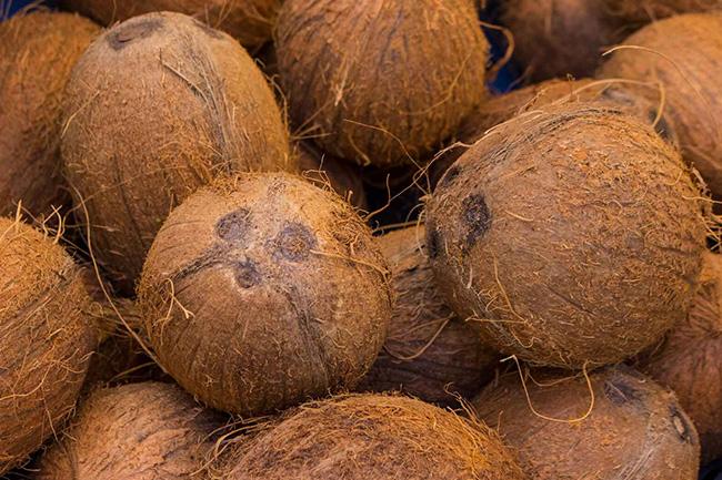 Maximum retail price for coconut gazetted