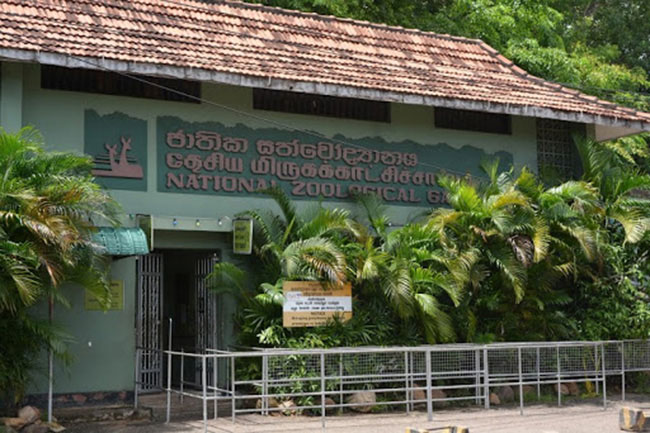 Zoos closed until further notice