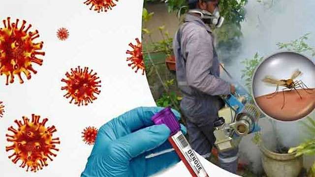 Dengue risk in Western Province to rise in next two weeks, experts warn