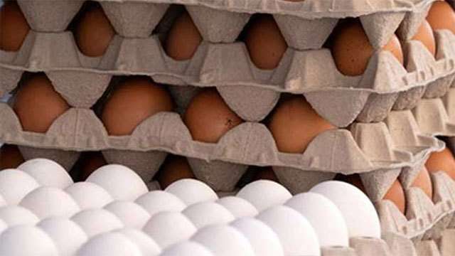 Egg prices to increase from tomorrow