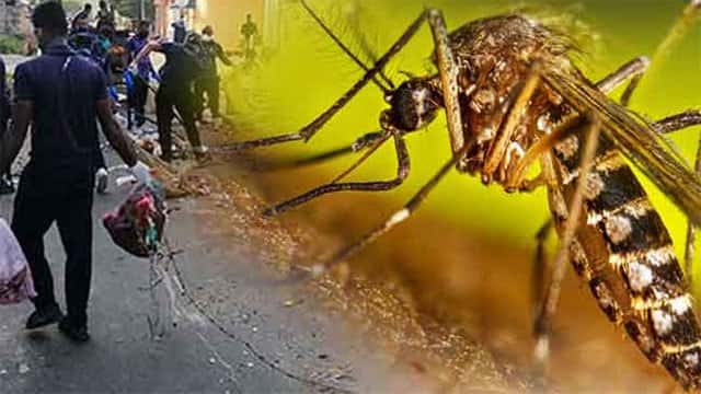 Dengue risk to persist for next three weeks, Health Minister warns