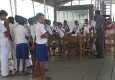 Year 5 Examination cut-off marks