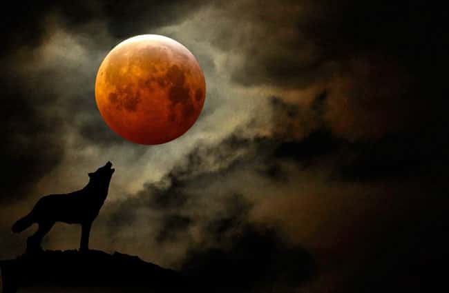 Wolf moon lights up the sky this weekend as final supermoon until late 2026