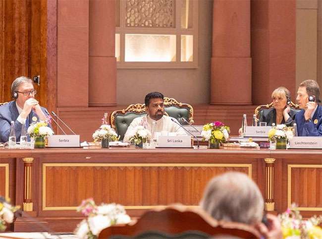 AI infrastructure is next frontier of economic and cultural cooperation - President