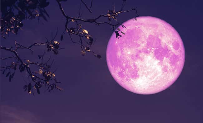 April’s full pink moon will rise in the night sky this week