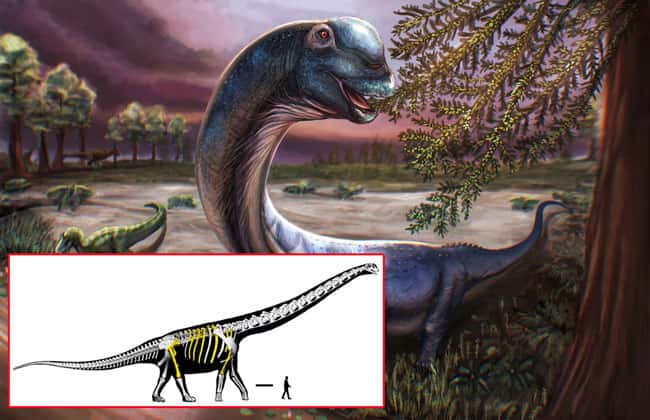 Scientists dig up Southeast Asia’s largest dinosaur in Thailand