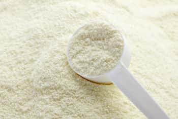 Milk powder prices set to increase 