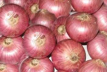Special import tax on big onions doubled