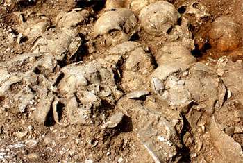 Archaeological investigation launched on human remains near Matale Hospital