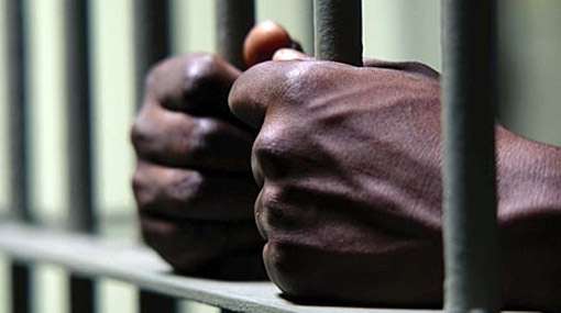 Kotadeniyawa child murder: suspected individual arrested