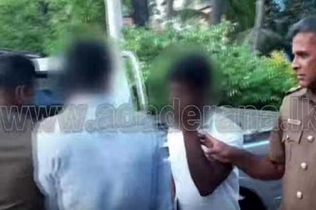 Sixteen JMI members arrested over 2 weeks
