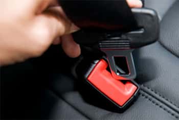 Cabinet amends Act to impose spot fines for seat belt law violations