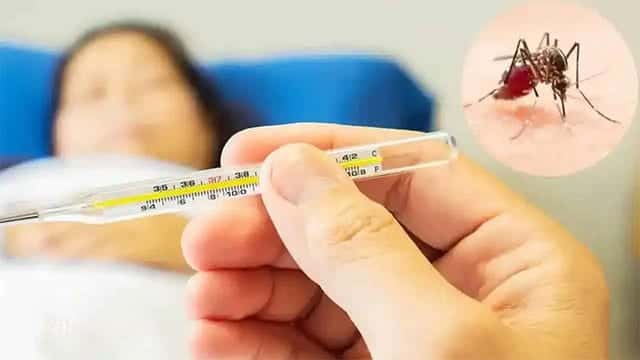 Public urged to intensify dengue prevention measures amid rainy weather
