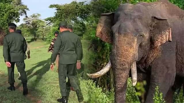Search operation to locate tusker ‘Agbo’ continues for second day