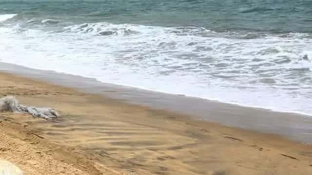 Two Indian dhows seized in suspected Kendu leaf smuggling attempt off Udappuwa
