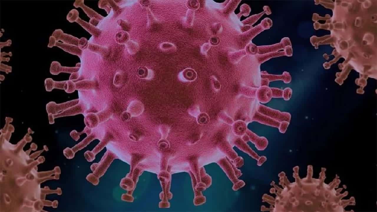 France confirms first human infection of Shamonda livestock virus