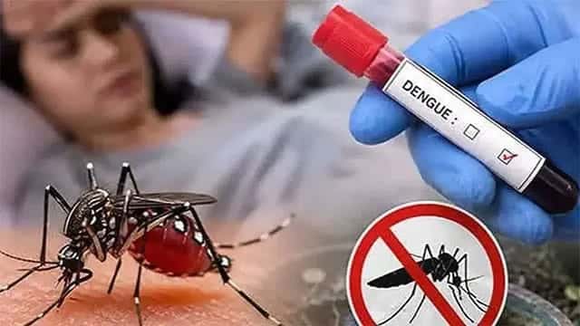 Sri Lanka’s dengue cases surge past 105,000