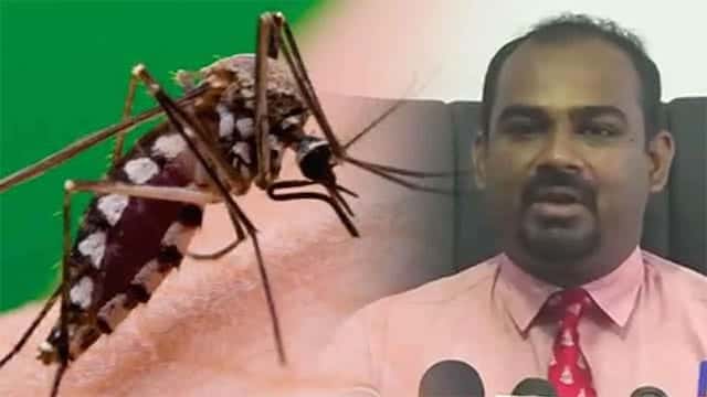 GMOA warns of possible rise in dengue cases amid rainy weather