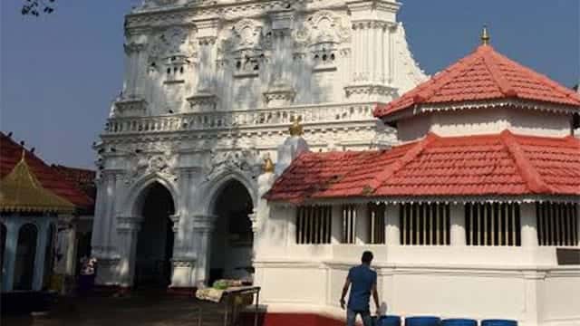 Tourist guide killed in elephant attack at Aluthgama Kande Viharaya