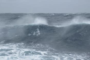 Met Department warns of rough seas 