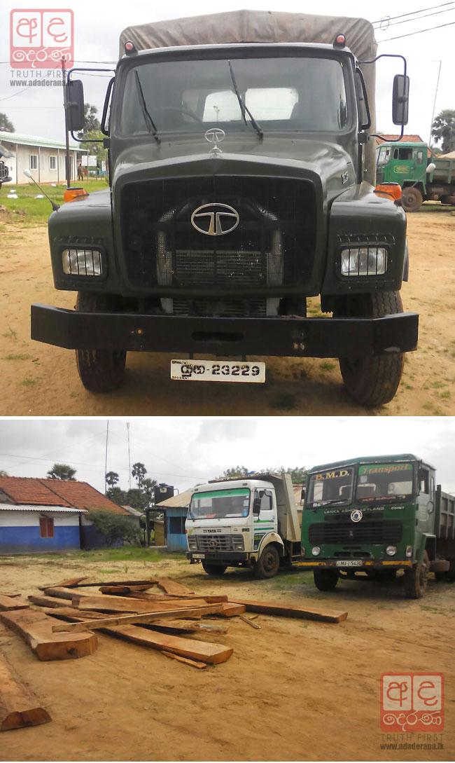 15 soldiers nabbed for illegal tree felling in Wilpattu