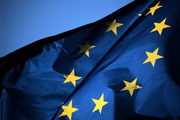 EU calls on UN to probe Sri Lankan war