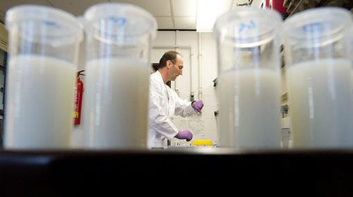 New Zealand dairy giant issues global botulism alert