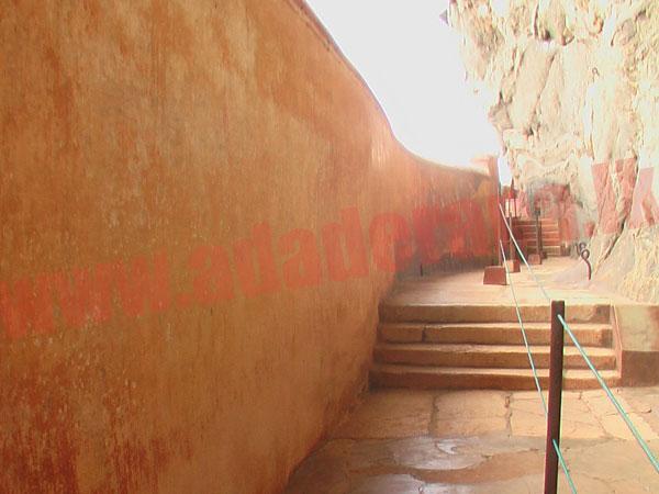 CCF looking into fungus attack in Sigiriya