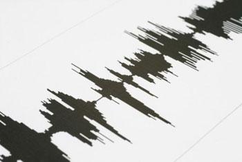 No need to panic over tremors felt near Colombo Port - Mines Bureau