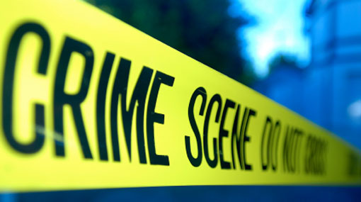Brother murders 80-year-old sister before taking own life