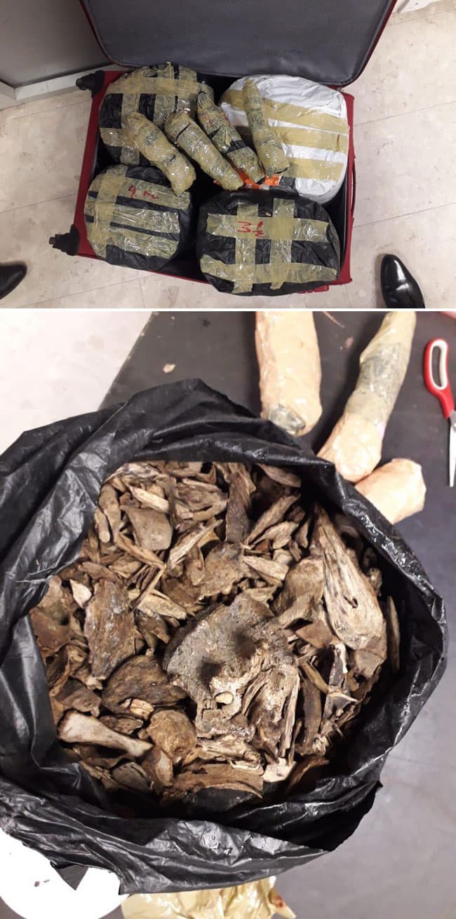 Attempt to smuggle Wallapatta worth Rs 2.3 million foiled