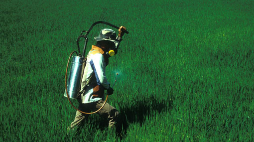 Sri Lanka bans pesticides containing 5 chemicals