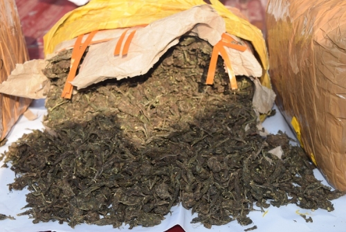 Two nabbed with 400kg of Kerala Cannabis