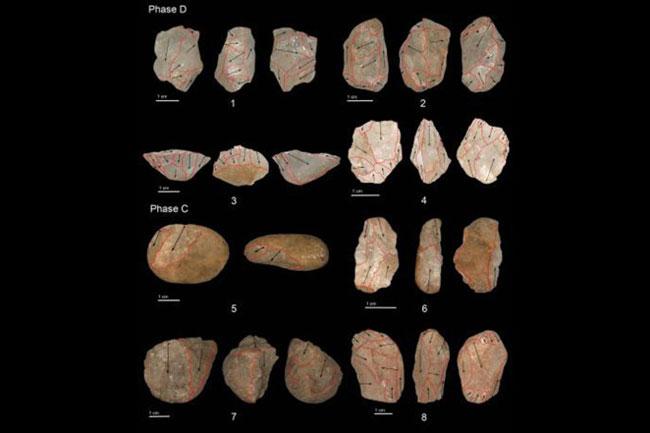 Discovery of ancient tools in Sri Lanka sheds light on evolution