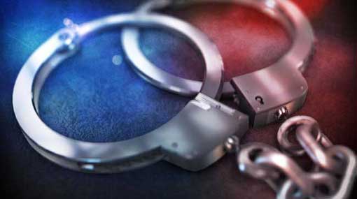 Woman arrested for fraudulently receiving money promising Japanese employment