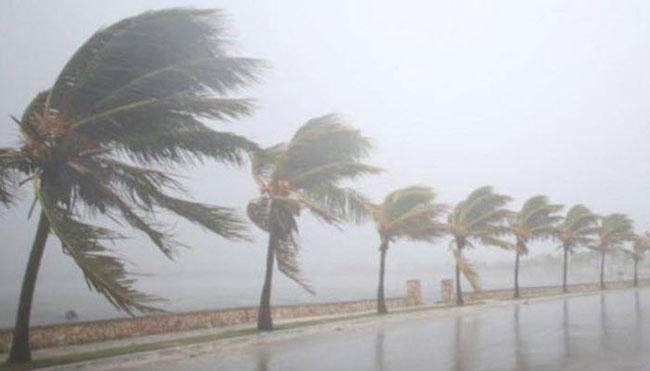 Heavy rainfall and strong winds expected