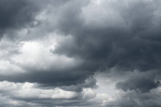 Showery condition expected to enhance from tomorrow