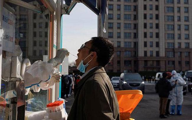 NeoCov’s potential danger to humans needs further study, says WHO
