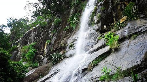 Teen falls to his death at Meeyan Ella Waterfall