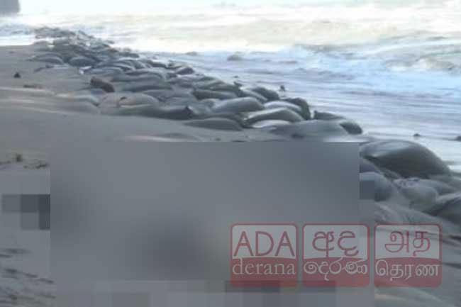 Unidentified body found at Ratmalana Beach
