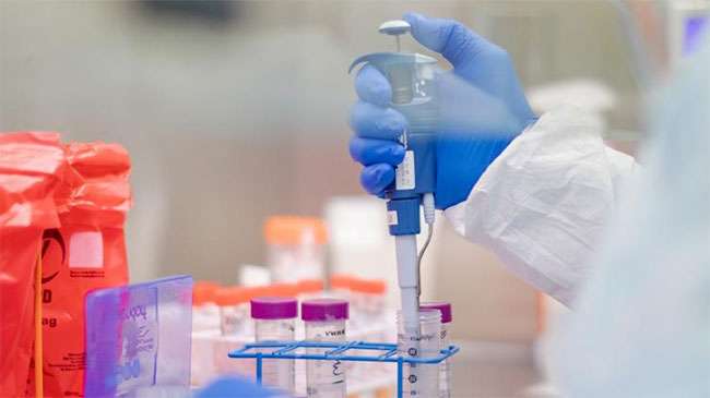 Coronavirus: 6 more deaths and 195 new cases reported