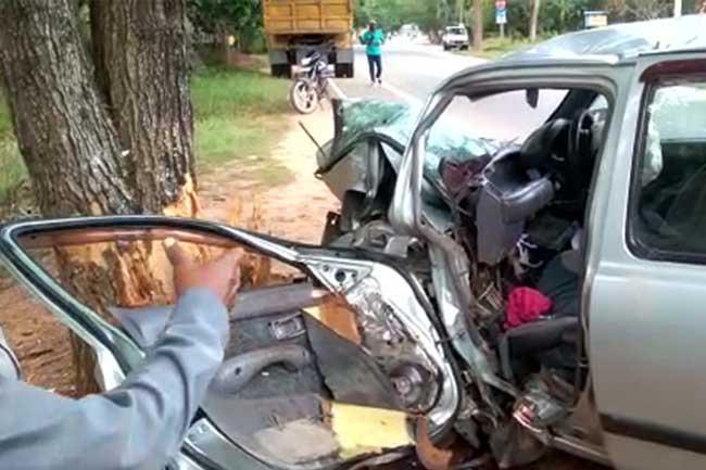 Three killed after car crashes into tree 
