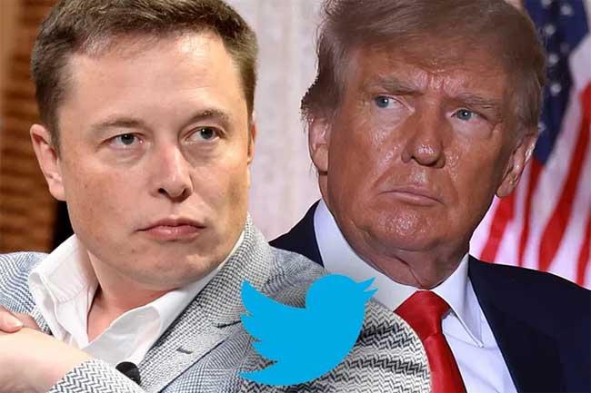 Trump snubs Twitter after Musk announces reactivation of ex-president’s account