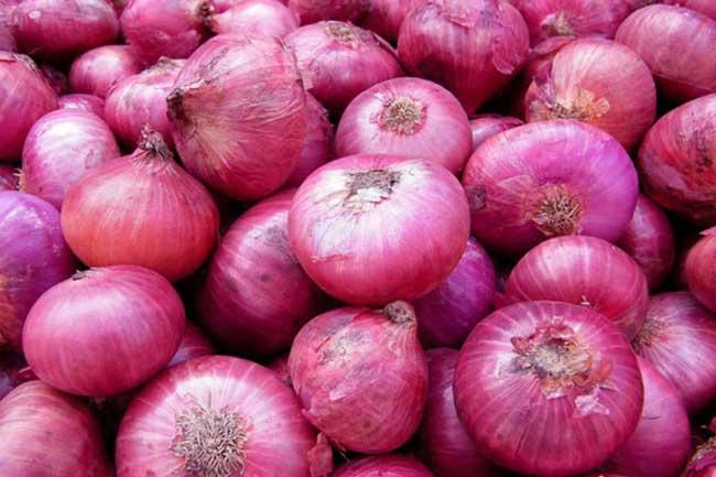 Relief for big onion prices as special commodity levy rate reduced