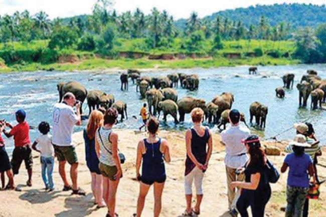 Over 16,000 tourist arrivals in first week of December – Tourism Ministry