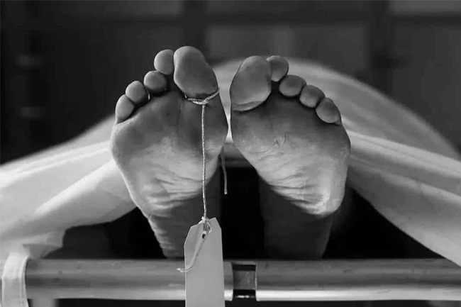 Body of missing businessman found in swimming pool