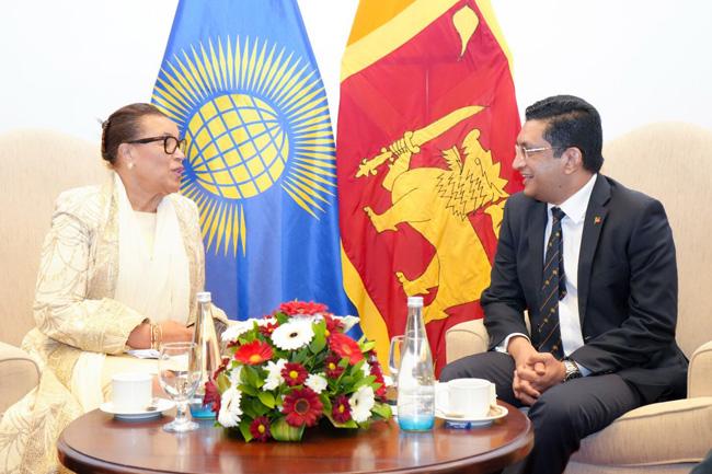 Foreign Minister Ali Sabry meets visiting foreign dignitaries